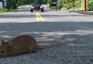 Chewy the Ratверсия 1.0 для BeamNG.drive (v0.31.x)