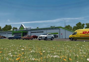 Цветыверсия 1.0 для City Car Driving (vv1.5.9.2)