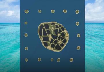 Карта «Lukah Island»версия 1.0.0.0 для Farming Simulator 2019 (v1.7.x)