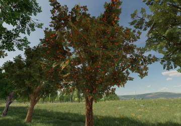 Orchards Fruitsверсия 1.1.0.0 для Farming Simulator 2022