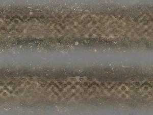 Текстура лесной дорожкиверсия 1.0 для SpinTires (v03.03.16)