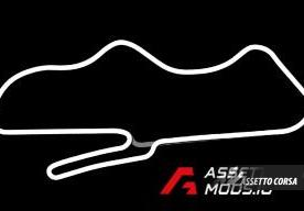 Donington Park 1993 GPверсия 1.01 для Assetto Corsa