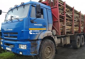 Текстура для Камазов 44108/43118версия 1.0 для SpinTires (v03.03.16)