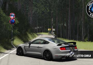 Shelby Mustang GT350r 1000R HHRC Tunedверсия 1.0 для Assetto Corsa