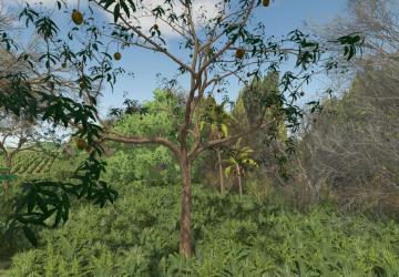 Mango Treeверсия 1.0.0.0 для Farming Simulator 2025