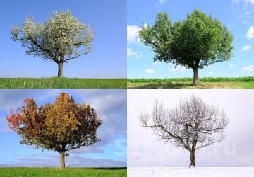 Spintires Seasonsверсия beta 0.5 для SpinTires (v03.03.16)