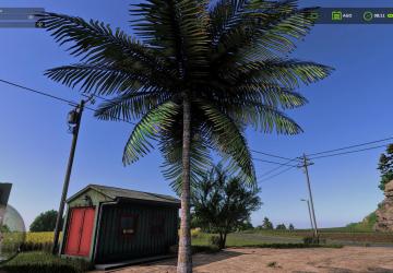 Coconut treeверсия 1.0.0.0 для Farming Simulator 2025