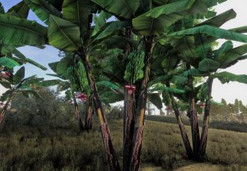 Banana treeверсия 1.0.0.0 для Farming Simulator 2025