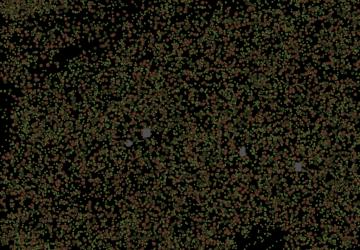 Карта «Деляна»версия 1 для SpinTires (v03.03.16)