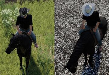 Cowboy Hatверсия 1.0.2.0 для Farming Simulator 2019