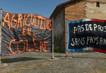 Placeable flag No. 1 agricultural eventверсия 1.0.0.0 для Farming Simulator 2025