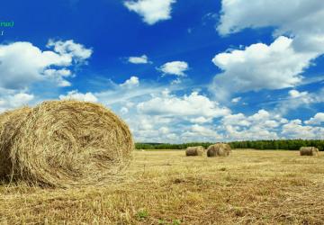 Карта «Холмы, поля и ветер»версия 2.0.1 для Farming Simulator 2017