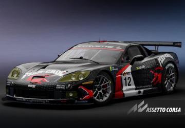 FIA GT1 2010 Mad-Croc Racing Corvette C6Rv1.01 для Assetto Corsa