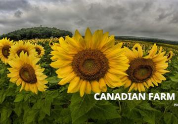 Карта «Canadian Farm»версия 8.0 для Farming Simulator 2019 (v1.7.x)