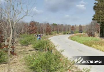 ES Botafogoверсия 0.5 для Assetto Corsa