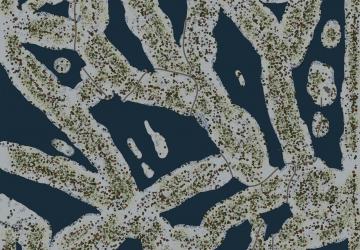 Карта «Winter Swamper»версия 05.01.20 для Spintires: MudRunner (v24.11.20)