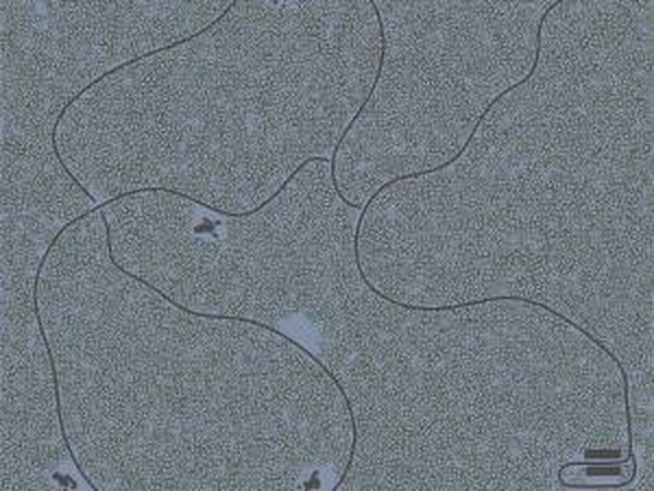 Карта «Покатушки 4: Едем зимовать»версия 1.0 для SpinTires (v03.03.16)