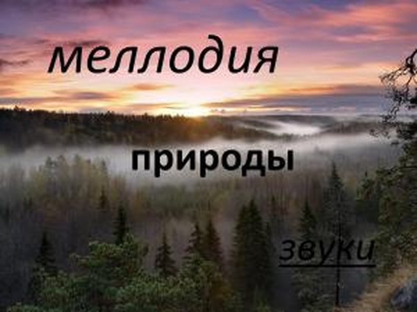 «Мелодия природы»версия 1.0 для SpinTires (v03.03.16)