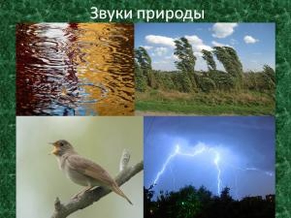 Дополнительные звуки окружающей средыверсия 1.0 для SpinTires (v03.03.16)