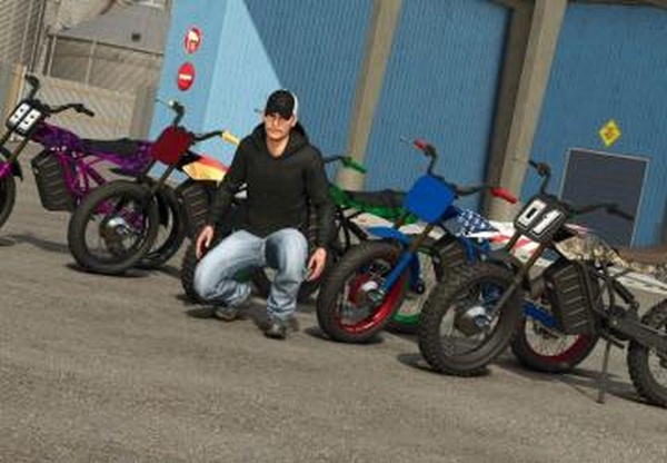 Lizard DT-Eверсия 1.0.0.0 для Farming Simulator 2025