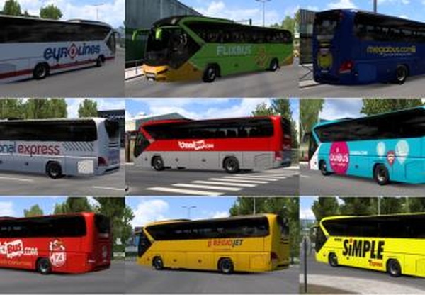 Neoplan Tourliner со скинами реальных компанийv1.0 для Euro Truck Simulator 2 (v1.45.x)