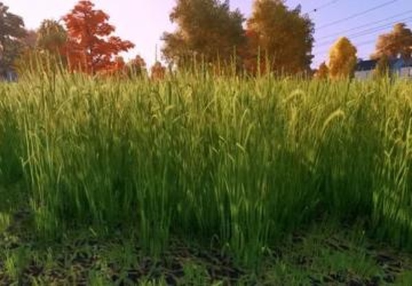 Improved grass textureверсия 1.0.0.0 для Farming Simulator 2022