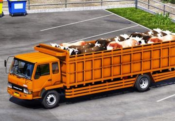 Mitsubishi Fusoверсия 1.0 для Euro Truck Simulator 2 (v1.44.x)