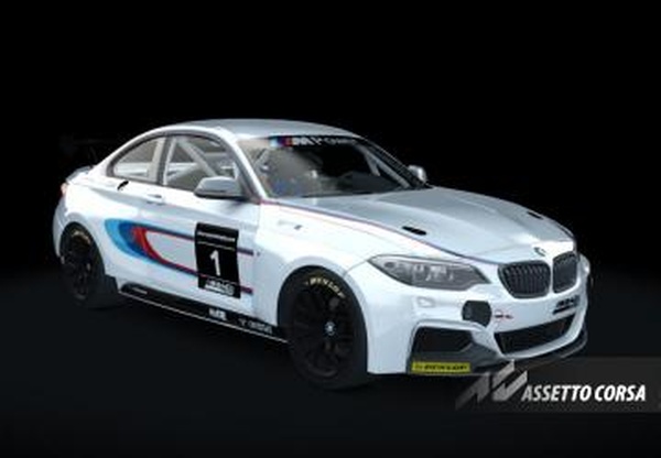 BMW M240i Racingверсия 1.0 для Assetto Corsa