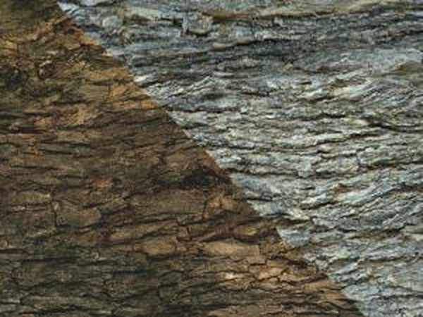 Текстура «Светлые и темные бревна»версия 1.0 для SpinTires (v03.03.16)