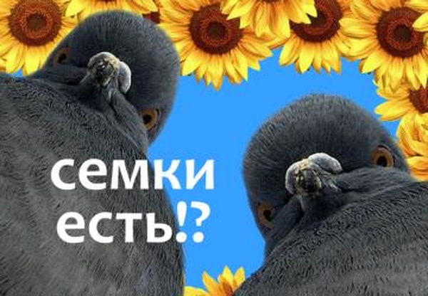 Растение 02версия 1 для Spintires: MudRunner (v10.06.19)