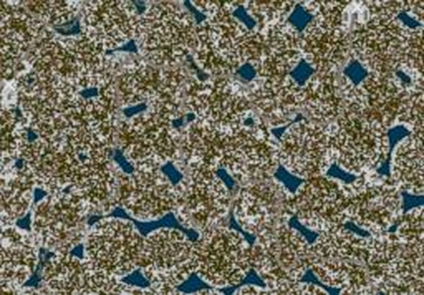 Карта «Dark Forest Snow»версия 1.0 для Spintires: MudRunner (v14.08.19)