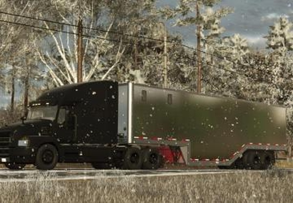 Lizard Belly ChipVanверсия 1.0.0.0 для Farming Simulator 2025