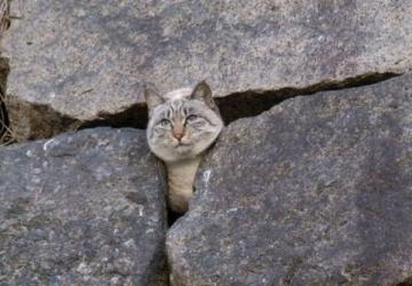 Камни 03версия 1 для Spintires: MudRunner (v10.06.19)