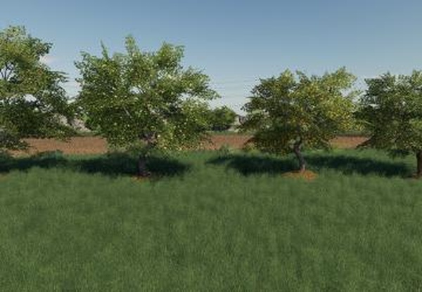 Placeable Fruit Trees Packверсия 1.0.0.0 для Farming Simulator 2019 (v1.7.x)