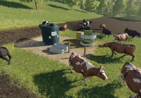 Open Cow Pastureверсия 1.0.1.0 для Farming Simulator 2019 (v1.7.x)