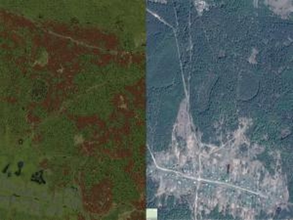 Карта «Мещера»версия 1.0 для SpinTires (v03.03.16)