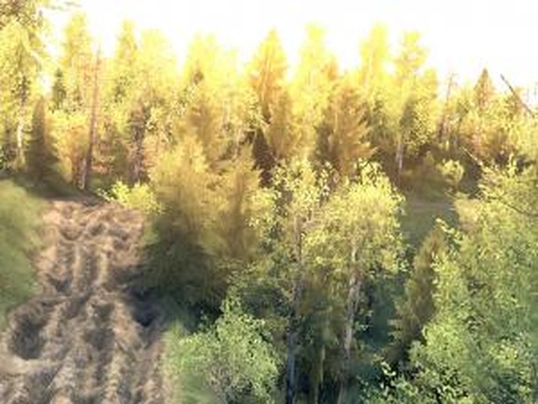 Карта «Трегирское лесничество»версия 1.0 для SpinTires (v03.03.16)