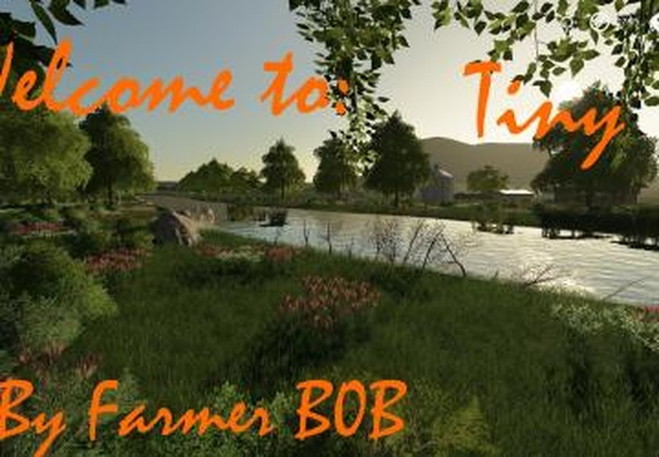 Карта «Tiny»версия 001 для Farming Simulator 2019 (v1.6.x)