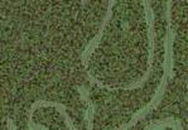 Карта «Гонка с припятствиями 2»версия 1.0 для Spintires: MudRunner (v22.03.19)