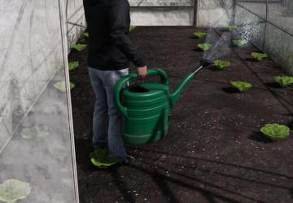 Watering Cans Packверсия 1.2.0.0 для Farming Simulator 2022