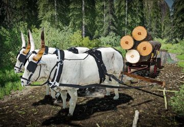 Bulls for Forestryверсия 1.0.0.0 для Farming Simulator 2022