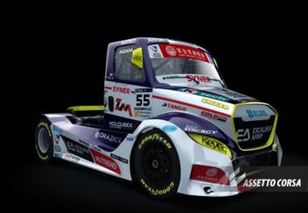 Buggyra Freightlinerверсия 1.0 для Assetto Corsa