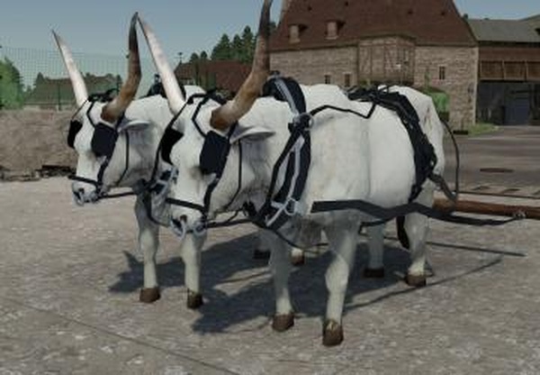 Gray oxверсия 1.0.0.0 для Farming Simulator 2022