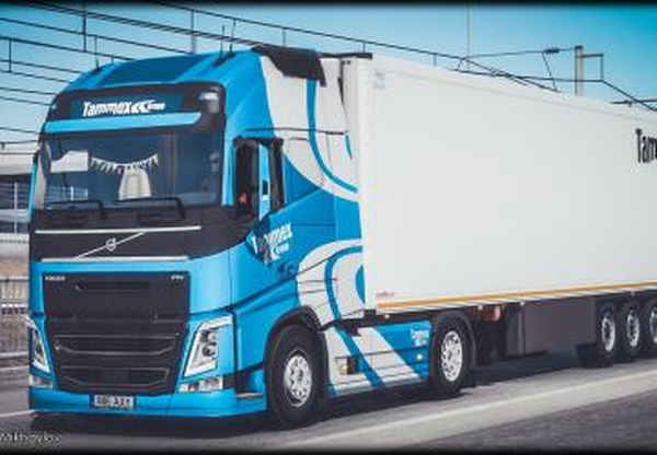 Комбо скин Tammex Grupp для VOLVO FH 2012v1.0 для Euro Truck Simulator 2 (v1.38.x)