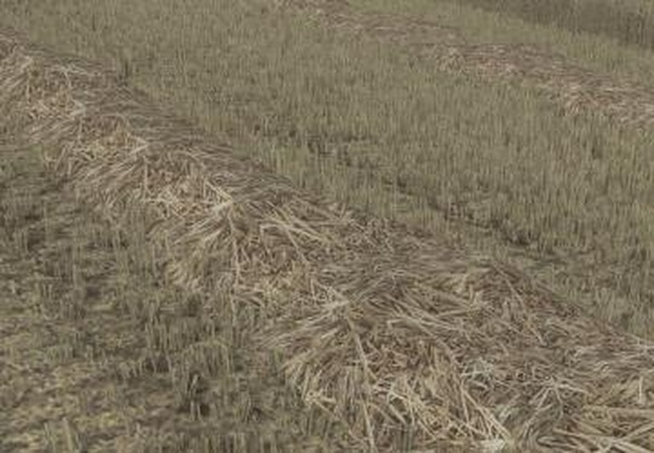Straw Textureверсия 1.0.0.0 для Farming Simulator 2022