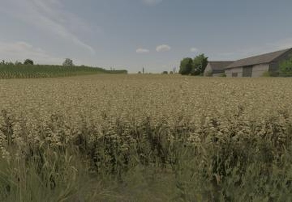 Oat Textureверсия 1.0.0.0 для Farming Simulator 2022