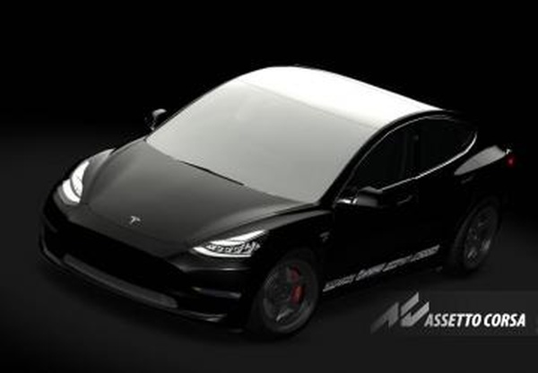 Tesla Model 3 RWD DRIFT Modifiedверсия 1.0 для Assetto Corsa