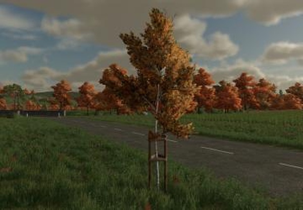 Treesupportверсия 1.0.0.0 для Farming Simulator 2022