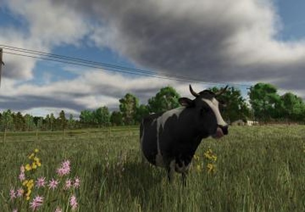 Карта «Rhönplateu»версия 1.0.0.0 для Farming Simulator 2025