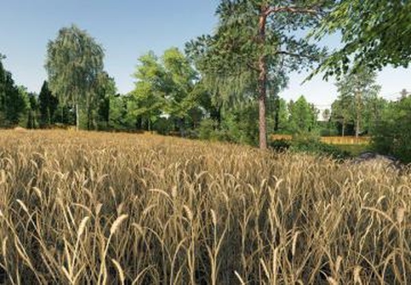 Карта «Tymbarkowice Map»версия 3.0 для Farming Simulator 2019 (v1.5.x)